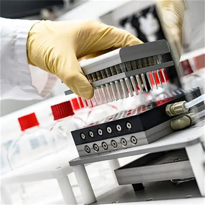 Custom Peptides